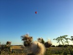 Geweldige ballonvlucht vanaf startveld Maastricht op maandag  5 augustus 2024